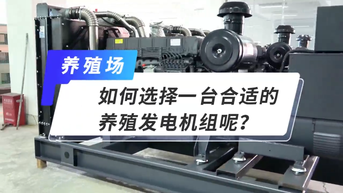 「視頻」如何選擇一臺合適的養(yǎng)殖發(fā)電機(jī)組呢？