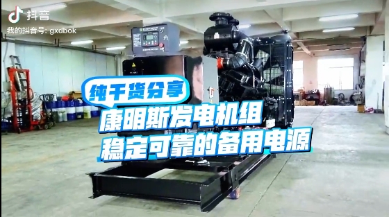 「視頻」如何應(yīng)對(duì)夏天斷電危機(jī)？640KW康明斯發(fā)電機(jī)組助您輕松應(yīng)對(duì)挑戰(zhàn) 